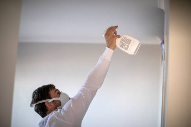 Mold Removal Process in Jeanerette, LA