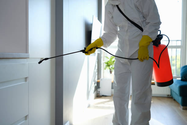 Best Mold Removal Company Near Me  in Jeanerette, LA