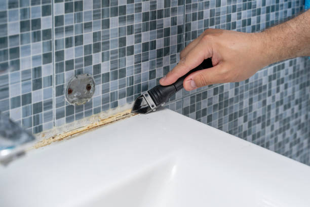 Best Attic Mold Removal  in Jeanerette, LA
