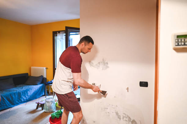 Trusted Jeanerette, LA Mold Removal Experts